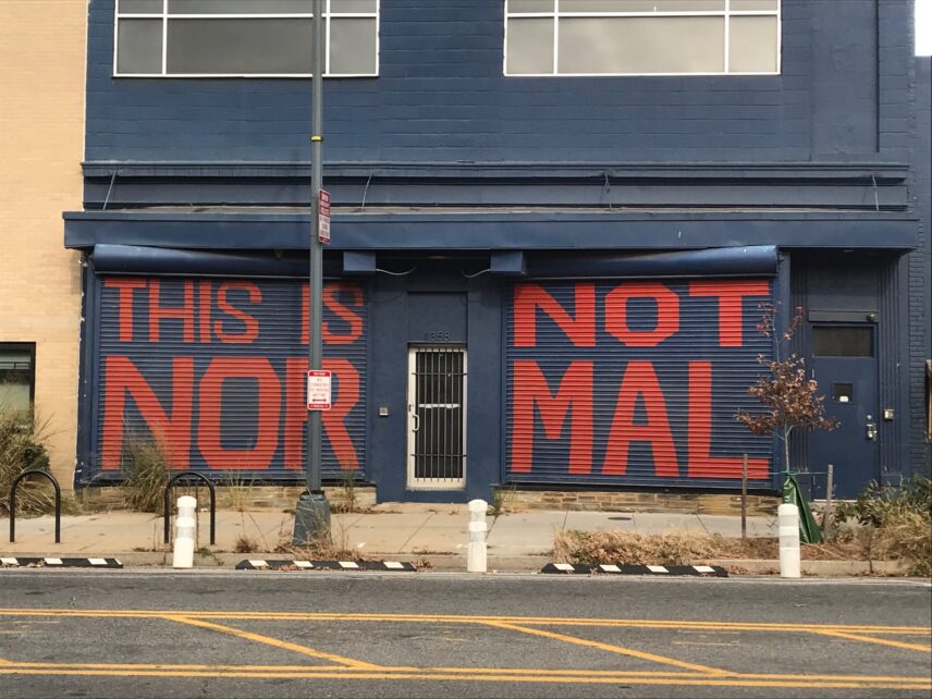 November 22, 2020. A mural nearby Suzanne Brennan Firstenberg’s installation "In America: How Could This Happen…" that appeared from October and November 2020 beside the D. C. Armory in Southeast Washington DC.