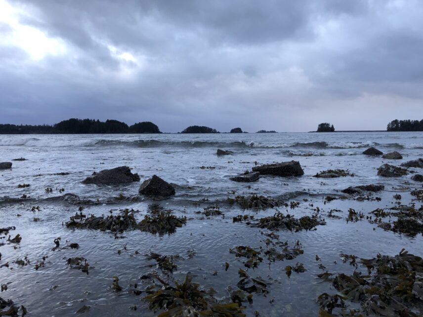 A cloudy sky hangs over the sea and a rocky shoreline in Sheet'ká, with kelp in the foreground and small islands dotting the background.