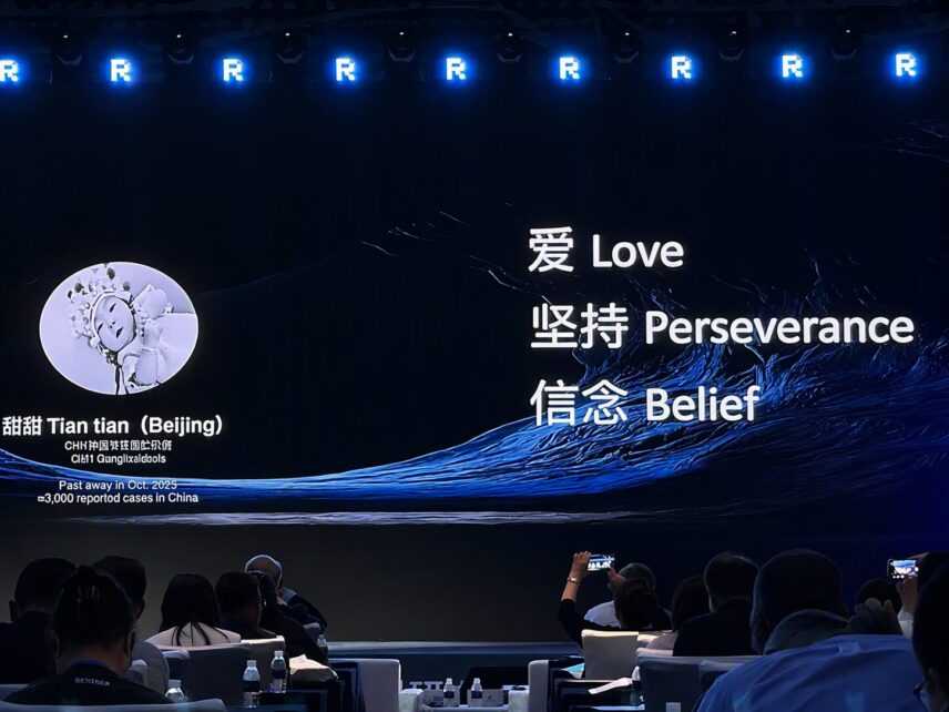 A slide from one of China's largest rare disease conferences