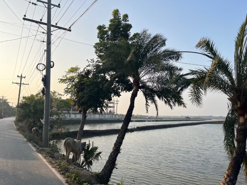 Ghers and electrical lines outside of Mongla, Bangladesh.